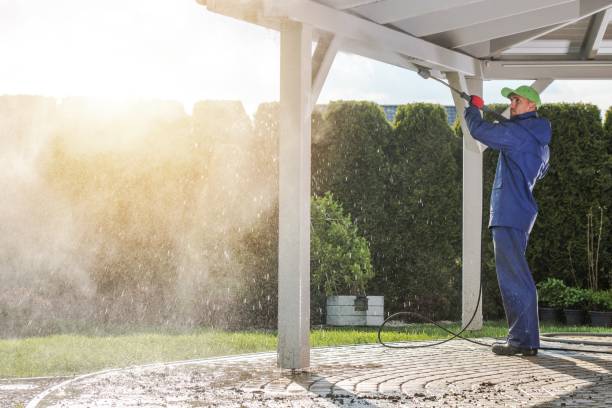 Animal Enclosure Cleaning in Kenova, WV